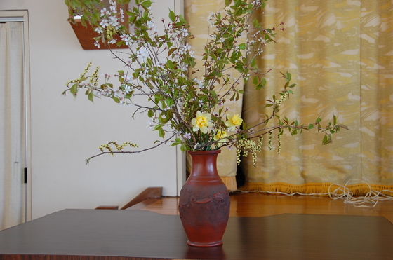 img_20140511-204433.jpg