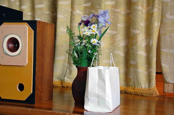 img_20150619-194046.jpg