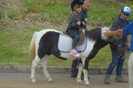 img_20151012-205618.jpg