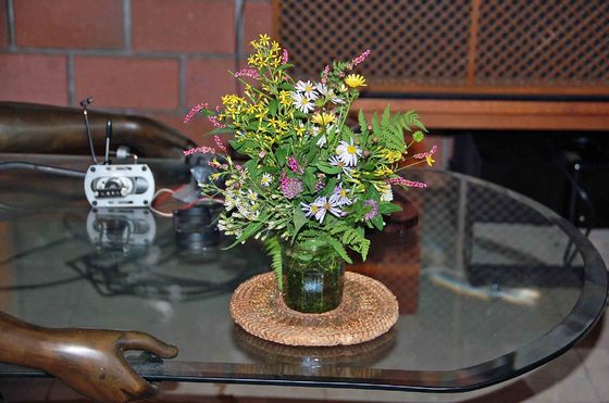 img_20170917-115904.jpg