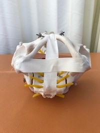 骨盤底筋群の表層筋