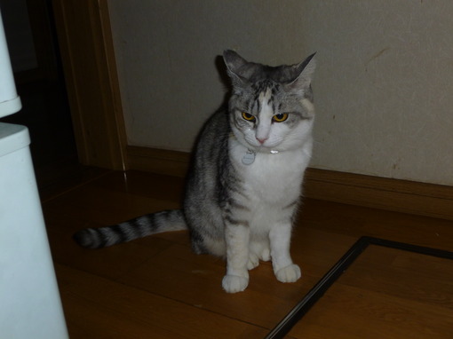 img_20140212-205630.jpg