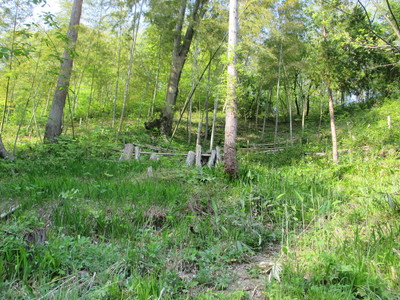 img_20150428-201241.jpg