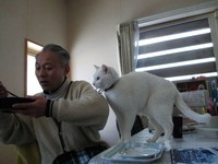 img_20160218-182430.jpg