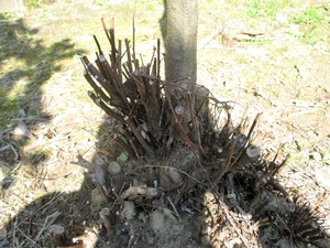 img_20160330-192828.jpg