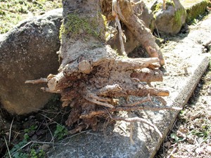 img_20160330-192907.jpg