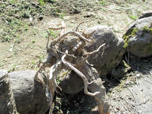 img_20160330-192950.jpg