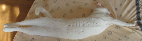 img_20160929-214140.jpg