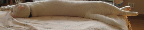 img_20160929-214200.jpg