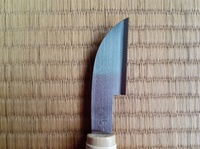 ミニ先丸Ｂ（イバラ目）