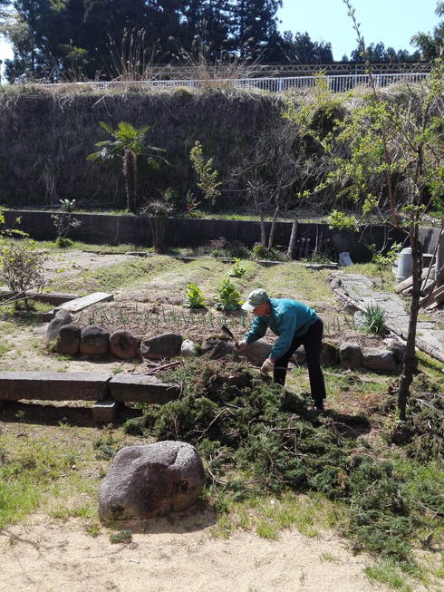 img_20180421-111306.jpg