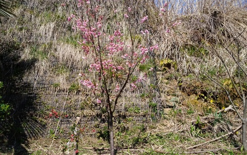 img_20190413-003641.jpg