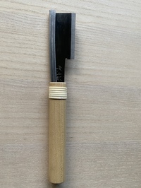 ミニ導突　　イバラ目