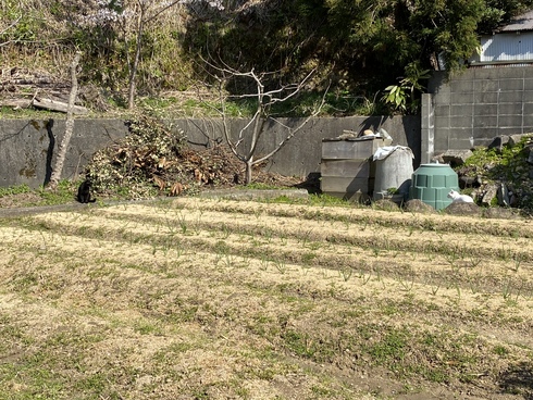 img_20210411-023549.jpg