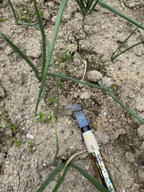 img_20210511-035309.jpg