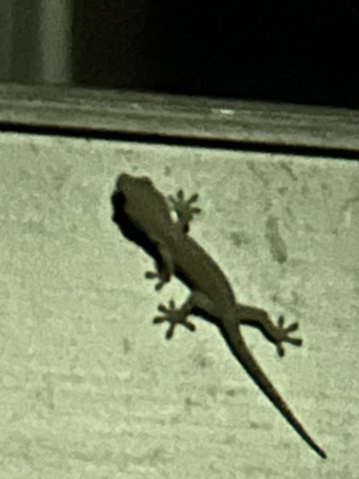 img_20250927-215204.jpg