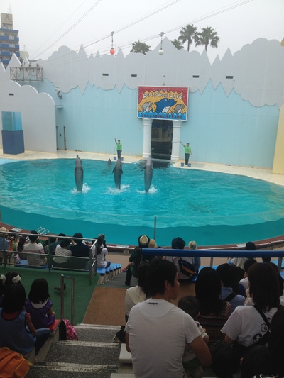img_20150628-152113.jpg
