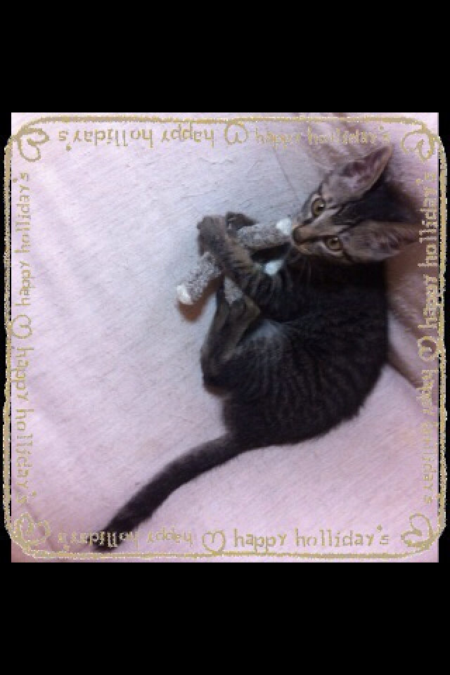 img_20150827-121129.png