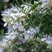 img_20140501-174944.jpg