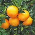 img_20140602-013227.jpg