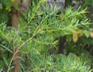 img_20161031-232119.gif