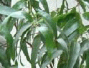 img_20170618-014918.gif