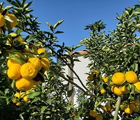 img_20181211-092521.jpg