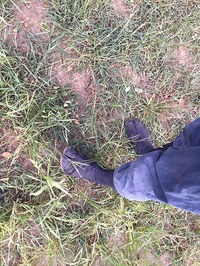img_20170807-180356.jpg