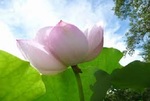 Nagoya 初心者・中高年応援(^^♪ YOGA!ヨガ Nagoya 初心者・中高年応援(^^♪ YOGA!ヨガ