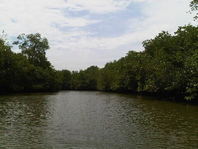 img_20140701-181606.jpg