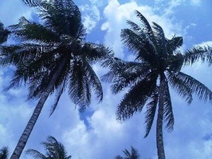 img_20140703-175307.jpg