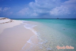 img_20140826-022519.jpg