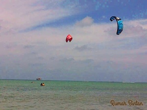 img_20151120-140314.jpg