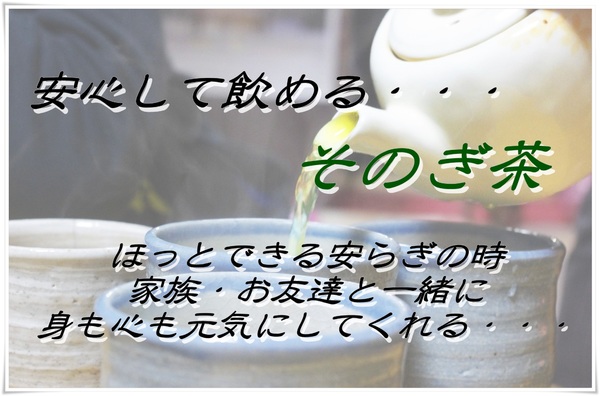 img_20150204-162321.jpg