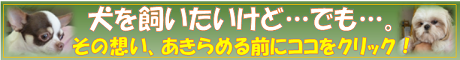 img_20160604-114221.png