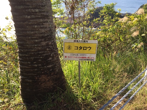 磯場案内標識