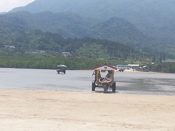 img_20131220-032401.jpg