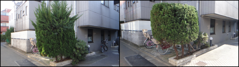 blog_20150211-013859-5a8.png
