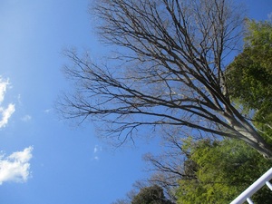 img_20220315-021129.jpg