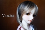 SDサキ(オーナー:紗莉架様) SDサキ(オーナー:紗莉架様)
