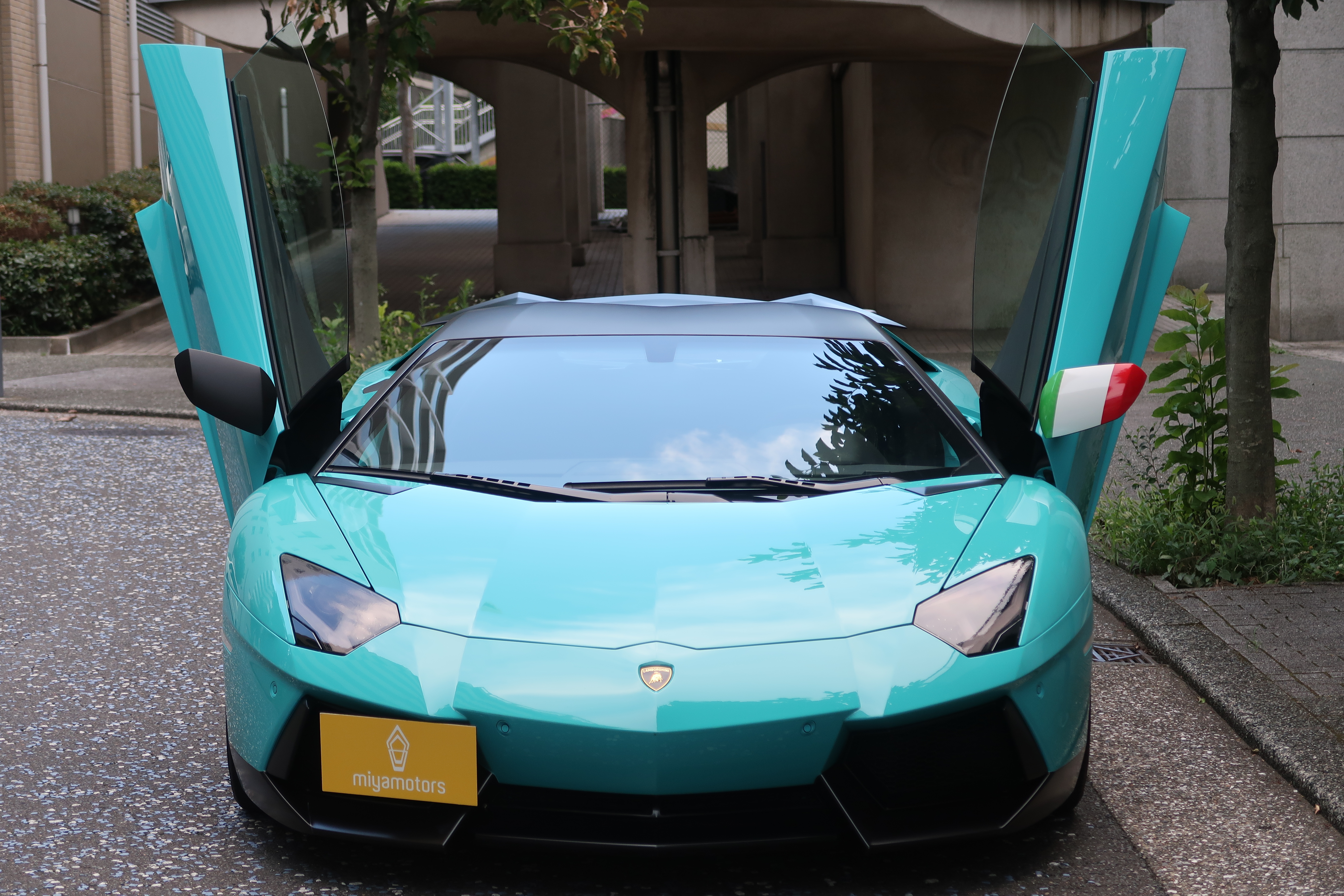 img_20241029-142544.jpg