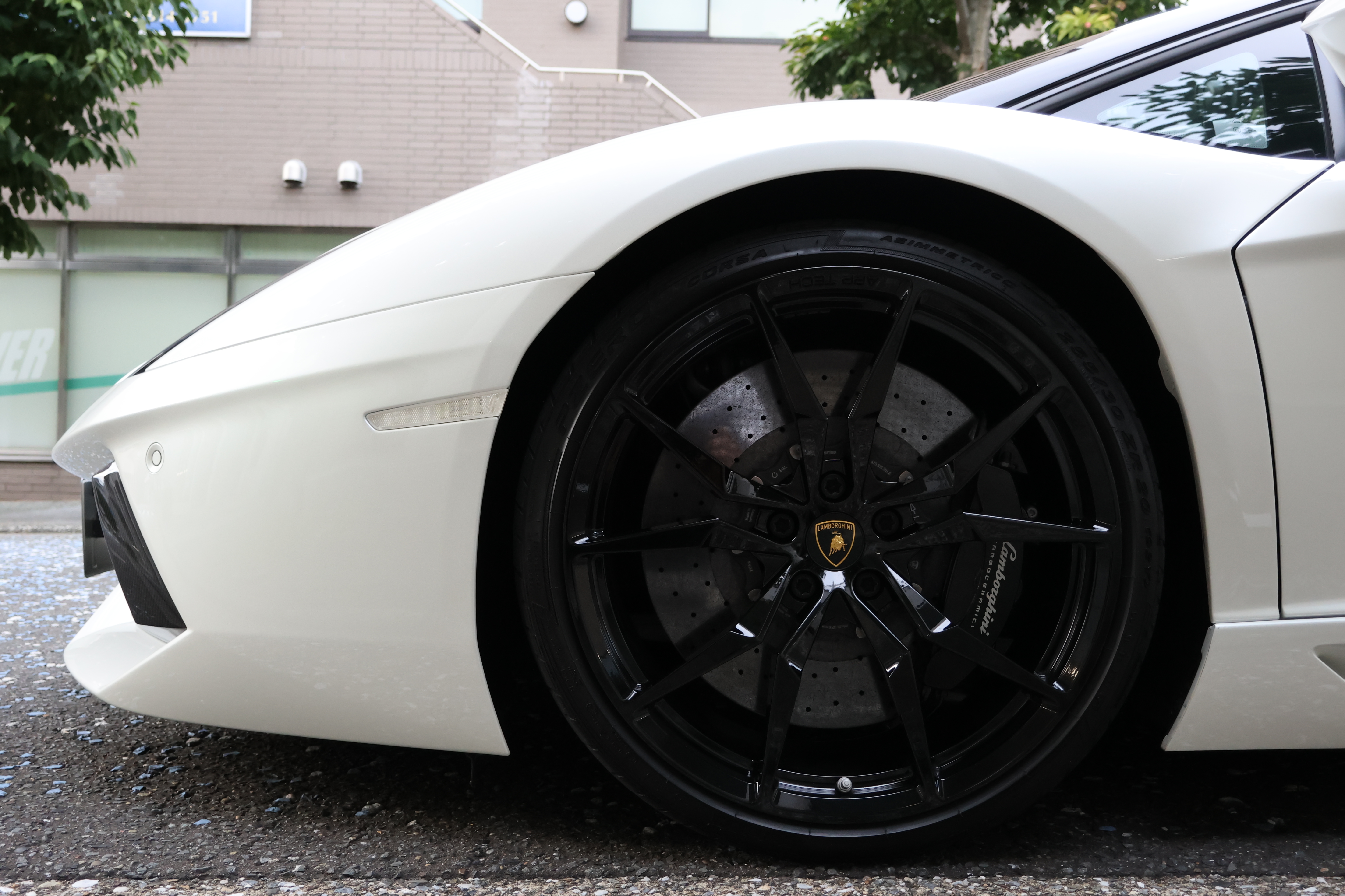 img_20250929-125616.jpg