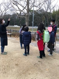 img_20180113-203248.jpg