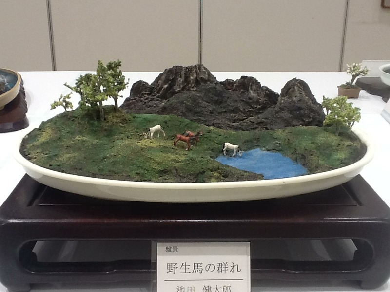 葛飾区民文化祭2013年盤景の部展示 第58回葛飾区民文化祭（2013年）/展示・盤景の部