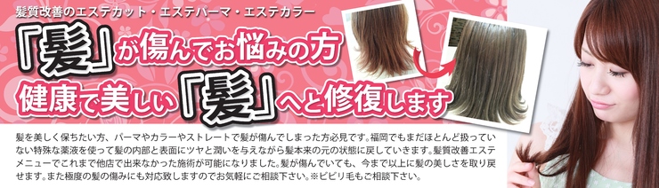 髪の傷み修復 ビビリ毛治し 井尻 春日原の美容室 Ease Hair Ease Hair 春日原店