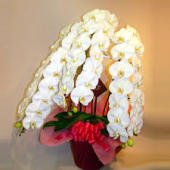 img_20131218-112544.jpg