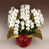 img_20131218-112625.jpg