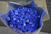 img_20131218-163423.jpg