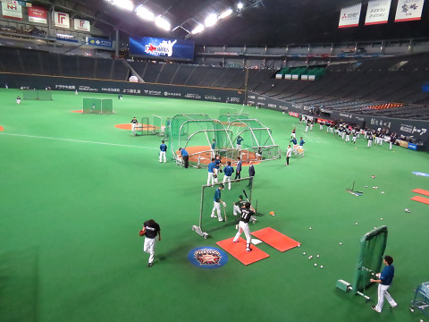 img_20170713-000548.jpg