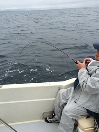 img_20151223-205049.jpg